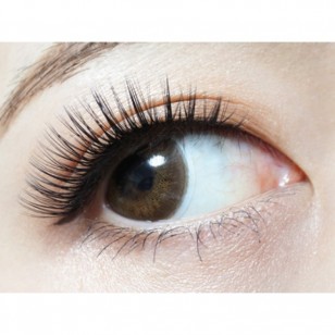 FLANMY Dark Mocha 10片裝